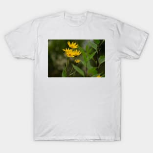 alb jerusalem artichokes T-Shirt